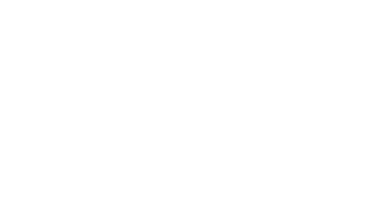 Crazy Castle logo
